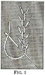 Feather, Coral, or Brier Stitch
