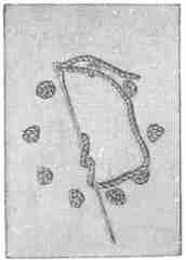 French Knot Stitch illustration.