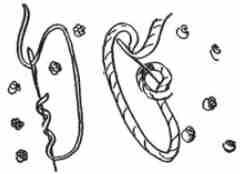 French Knot Stitch