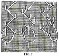 Feather, Coral, or Brier Stitch
