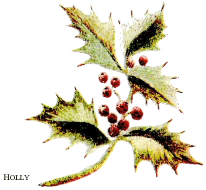 Color plate of Embroidered Holly with berries Color plate of Embroidered Holly with berries