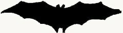 flying bat silhouette