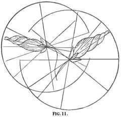 stitch direction for embroidery fig. 11