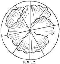 stitch direction for embroidery Fig. 12