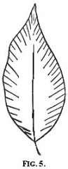 stitch direction for embroidery fig 5