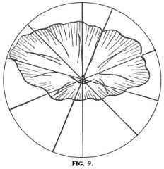 stitch direction for embroidery Fig. 9
